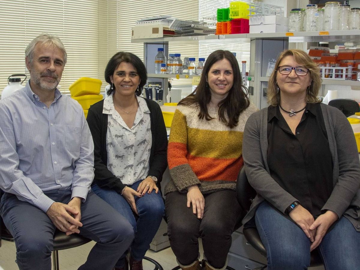 Foto: Beatriz Martínez-Delgado, autora principal del estudio, a la derecha, junto a otros investigadores. Foto: Instituto de Salud Carlos III