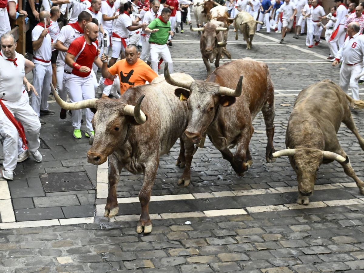 Foto:  La manada de la ganadería de Núñez del Cuvillo a su paso por la curva de Mercaderes. (EFE/Eloy Alonso)
