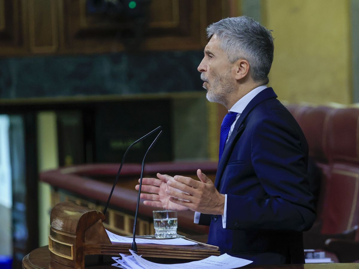 Foto: El ministro del Interior, Fernando Grande-Marlaska. (EFE/Zipi)