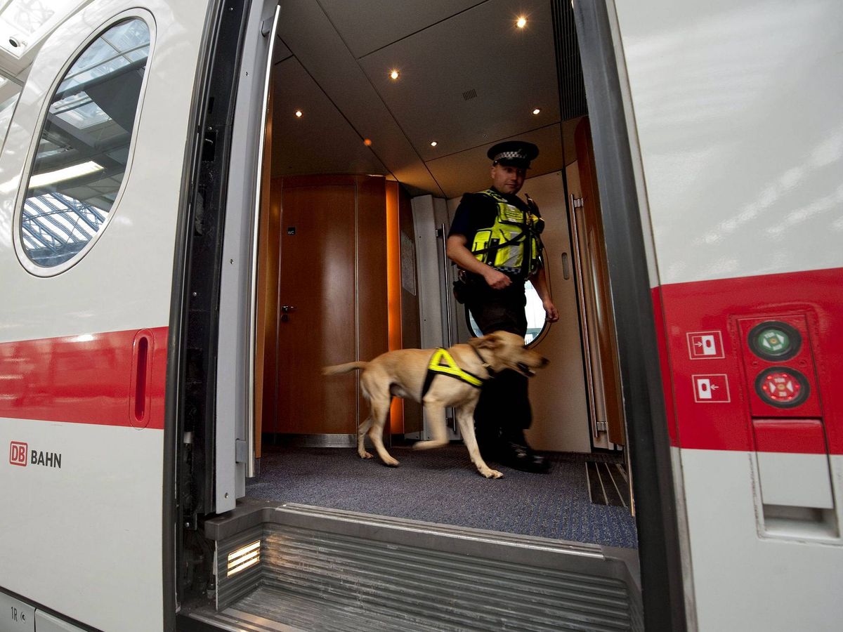 Foto: Perro policía en tren londinense, foto de archivo. (EFE/Robert Schlesinger)