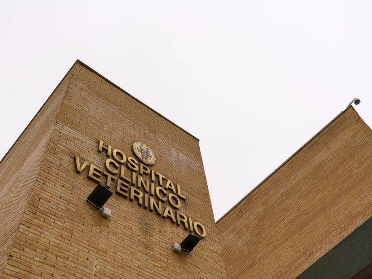 Foto: Hospital Veterinario. (Universidad Complutense)