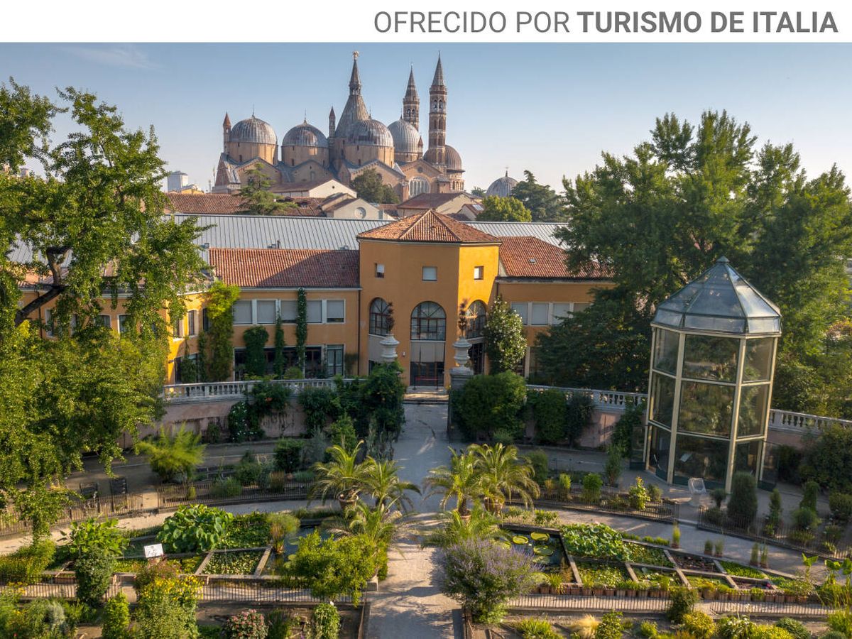 Foto: Jardín Botánico con la Basílica de San Antonio de Padua al fondo. (Foto: Región Véneto)