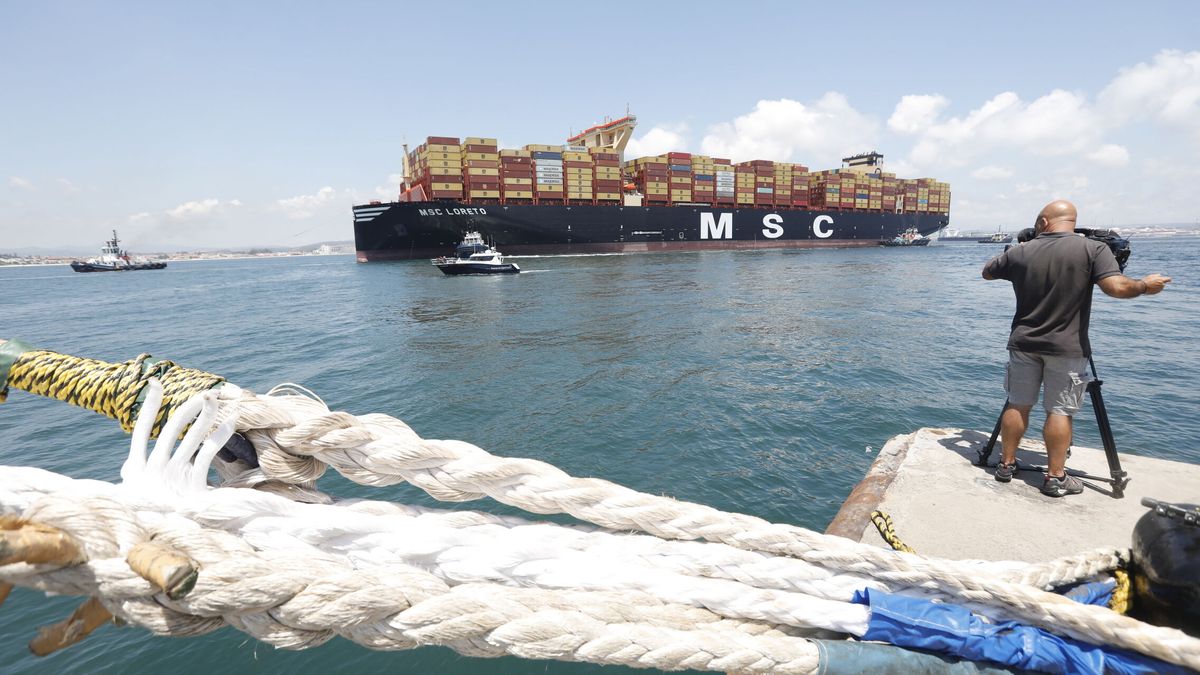 MSC renuncia a sus proyectos en la ZAL del puerto de Valencia con una inversión de 55 M