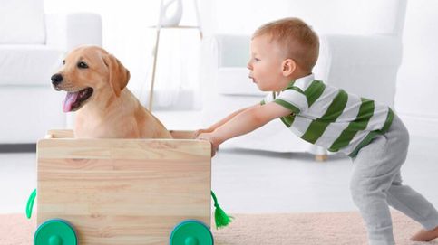 Los 4 divertidos juegos con los que los niños pueden interactuar con sus perros