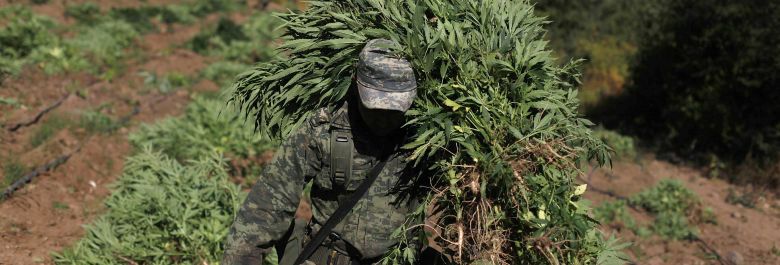 Un soldado lleva marihuana confiscada. (reuters)