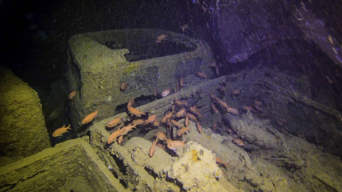 El curioso auge de las bodegas submarinas
