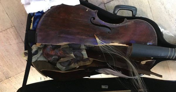 Foto: Así ha quedado la viola da gamba del siglo XVII (Myrna Herzog)
