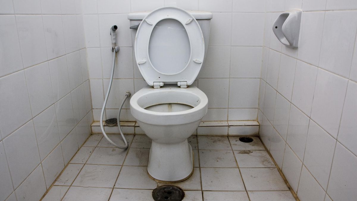 La impactante verdad sobre la higiene de los cuartos de baño públicos