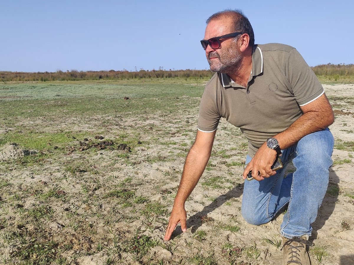Foto: El director del Parque Nacional de Doñana, Juan Pedro Castellano, pisa la laguna de Santa Olalla, seca por segundo año consecutivo. (El Confidencial/Manuel de Burgos)