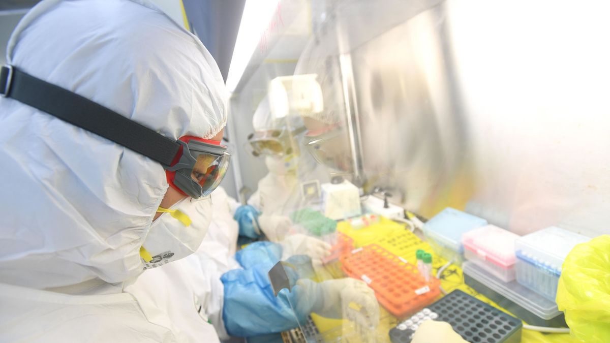 Las pruebas en humanos de la vacuna del coronavirus no estarían listas hasta verano