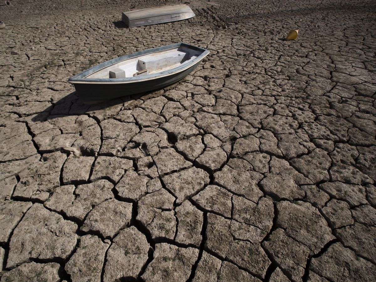 Foto: La sequía sacude la Axarquía, esperanzada en nuevos aportes de agua. (EFE/Jorge Zapata)