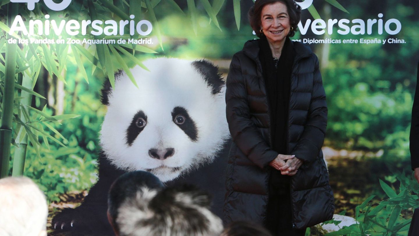 La reina Sofía, amante de los animales, en el zoo. (Cordon Press)