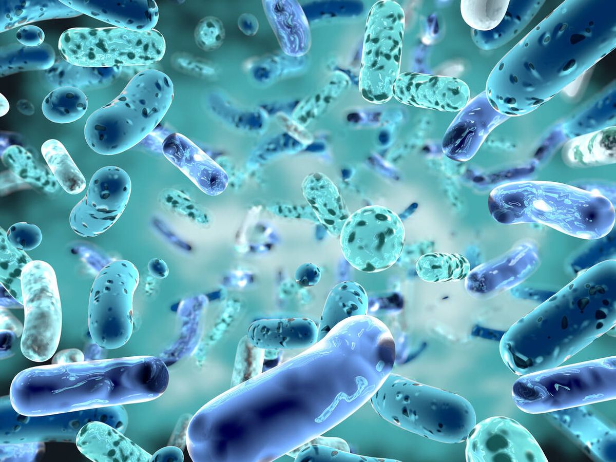 Foto: Cada vez hay más estudios relacionados con los beneficios de los probióticos para la salud y el organismo. (iStock)