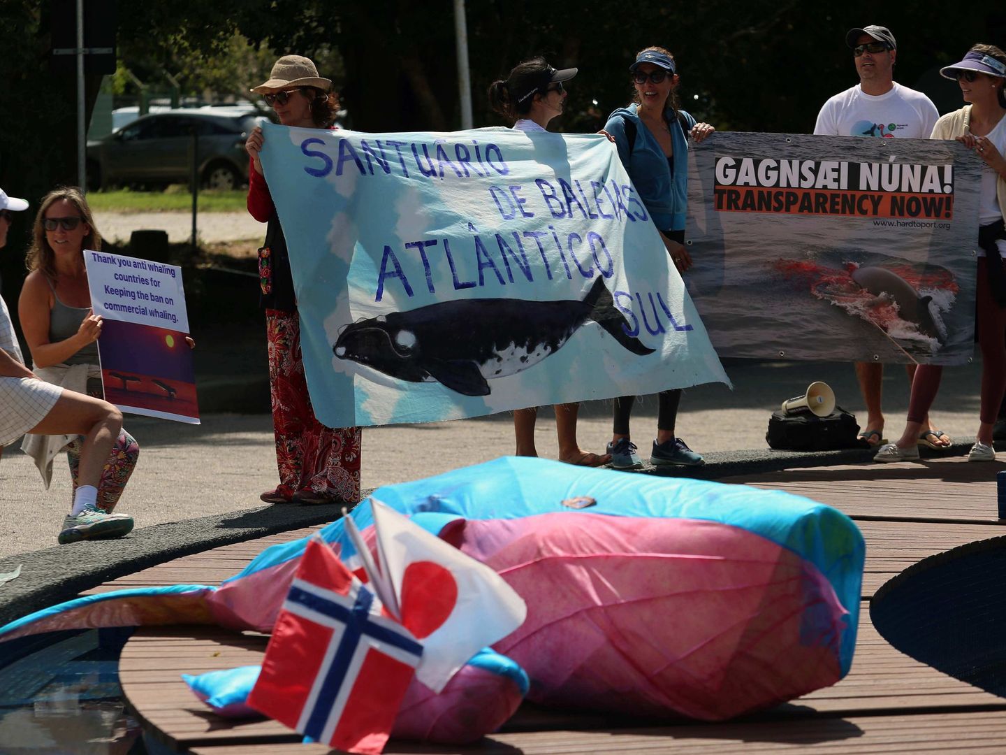 Varios manifestantes protestan contra la muerte de ballenas (EFE/Roberto Scola)