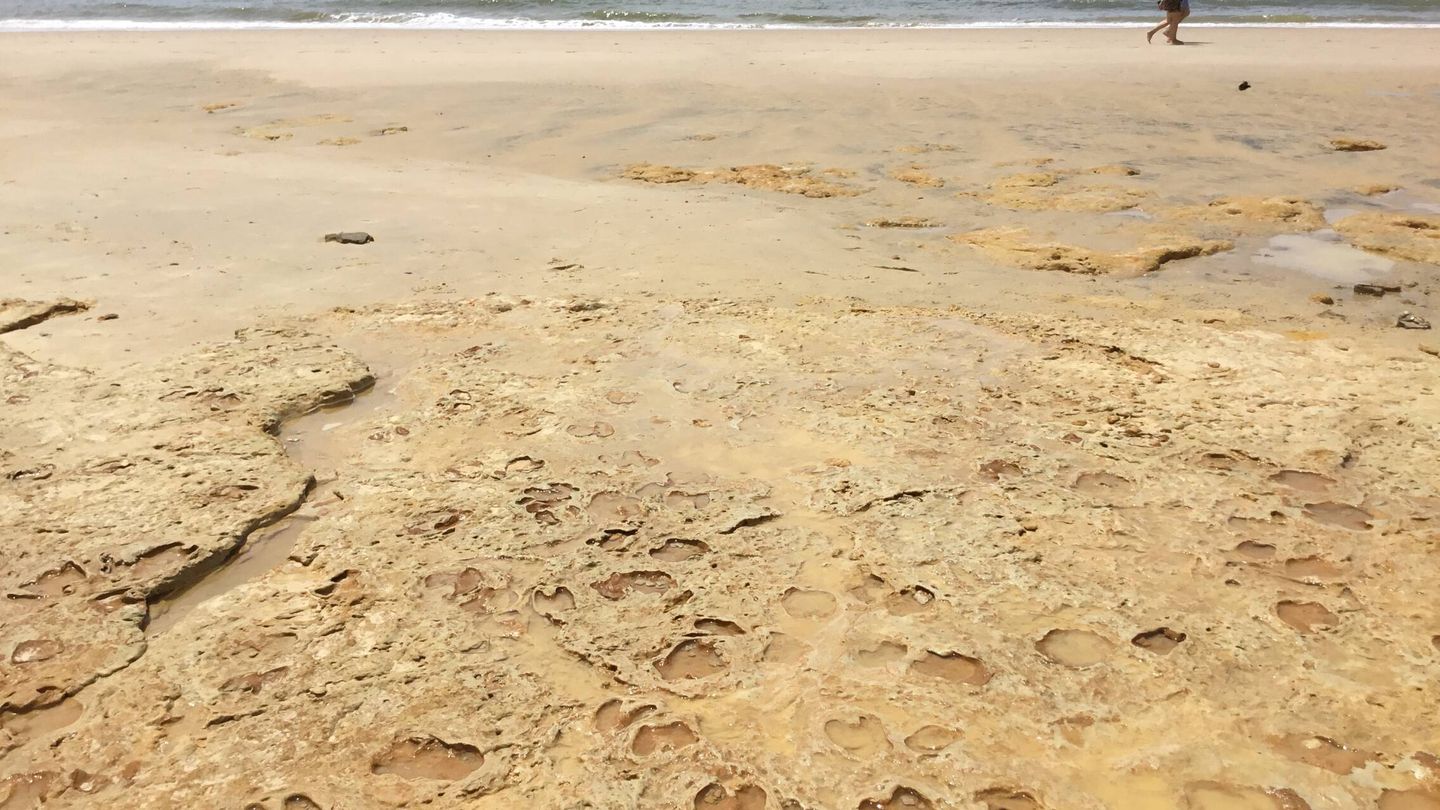 Vista de la playa de Matalascañas, con las huellas prehistóricas halladas en primer plano. (J. M. Galán)
