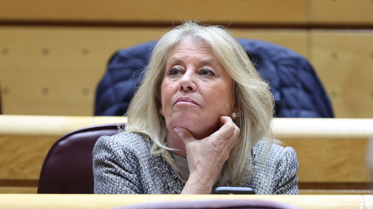 La alcaldesa de Marbella niega al Senado irregularidades en su patrimonio