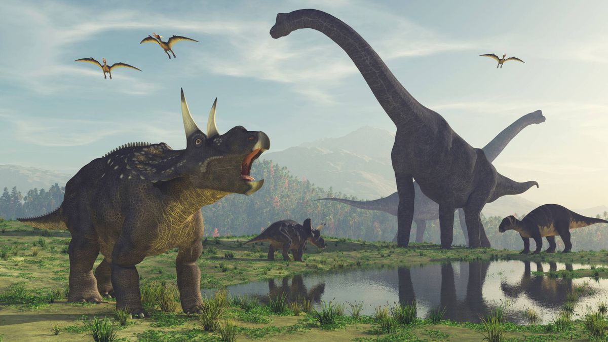 Por qué pensar que los dinosaurios dominaban la Tierra es una idea de lo más equivocada