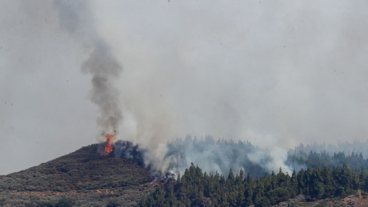 El incendio de Gran Canaria se podría estabilizar en las próximas horas