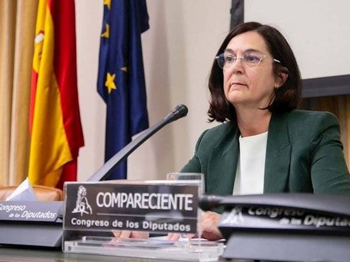 Foto: Cani Fernández, presidenta de la CNMC. (Europa Press)