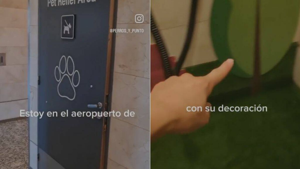 Una española descubre este cuarto de baño para perros en el aeropuerto de Buenos Aires