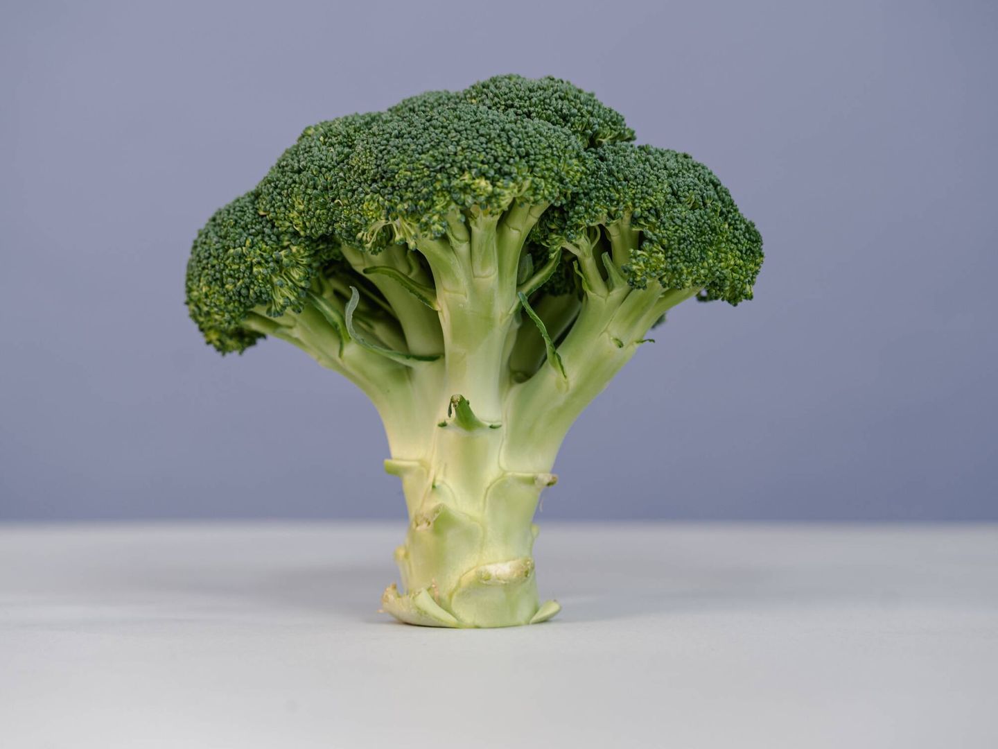 Al igual que la alfalfa y los brotes de soja, los brotes de brócoli son alimentos muy potentes nutricionalmente hablando. (Pexels)