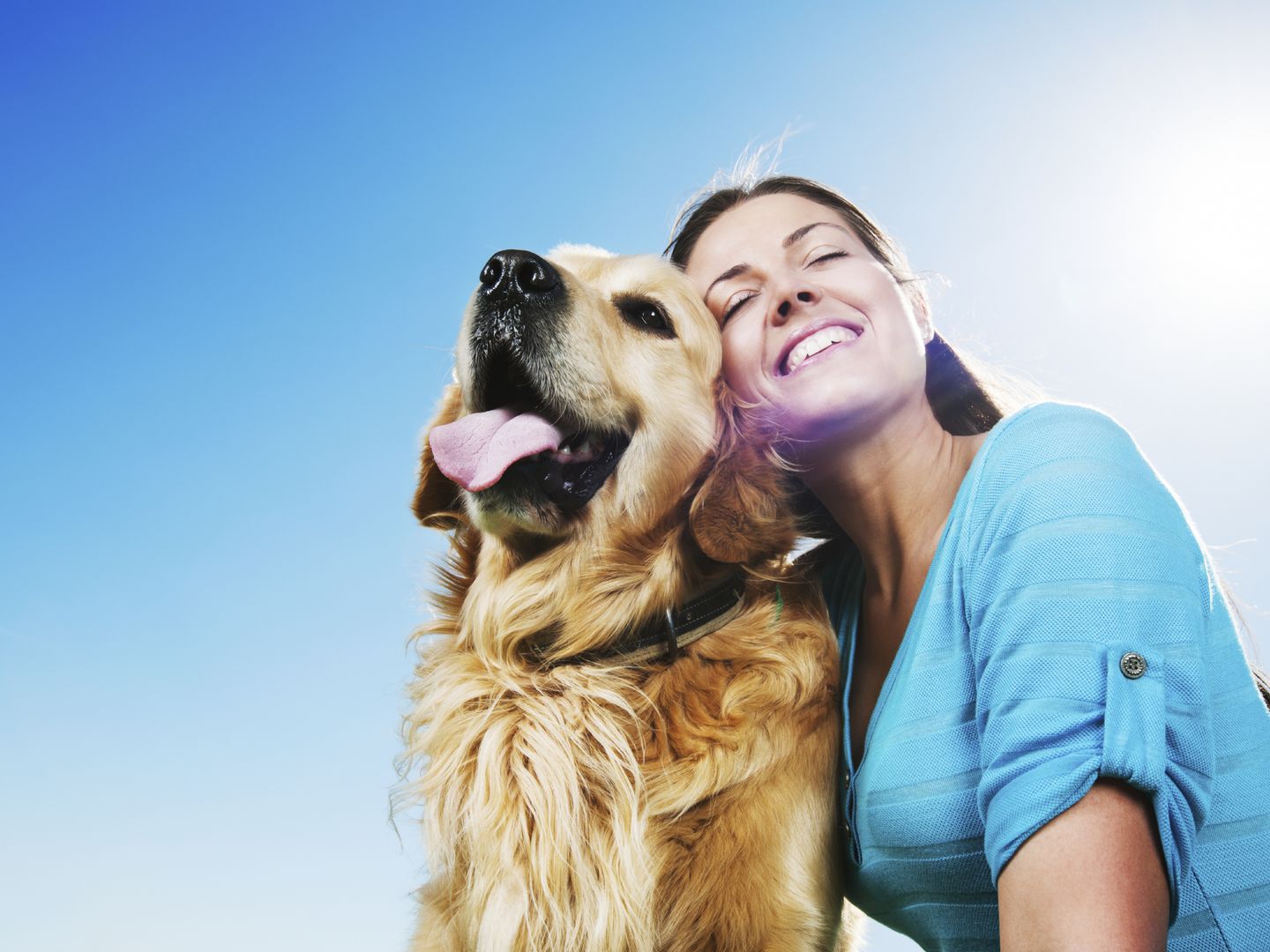Disfruta del sol en vacaciones junto a tu perro (iStock)