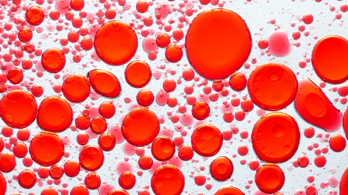 Trombocitopenia inmune y plaquetas bajas: qué sabemos de esta enfermedad rara