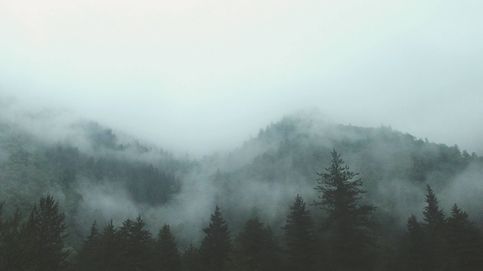 Audio | Cuando el aire es agua en las nieblas de la Sierra de Cazorla