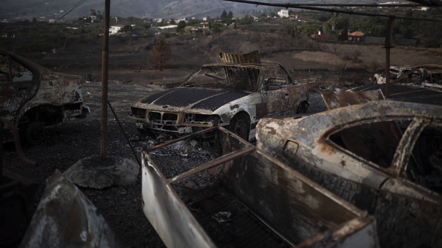Restos del incendio que se produjo este verano en los municipios de El Paso y Los Llanos. (Alejandro Martínez Vélez)