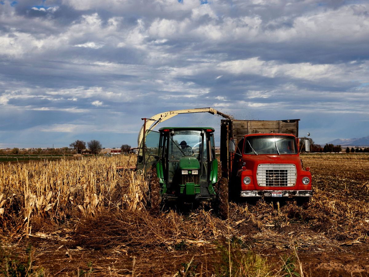 Foto: Un hombre en un tractor. (Reuters/Archivo/Shannon Stapleton)