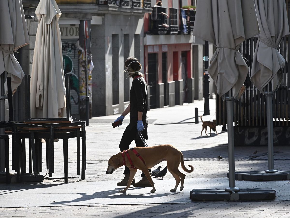 Foto: Un viandante pasea al perro por la plaza de Lavapiés. (EFE)