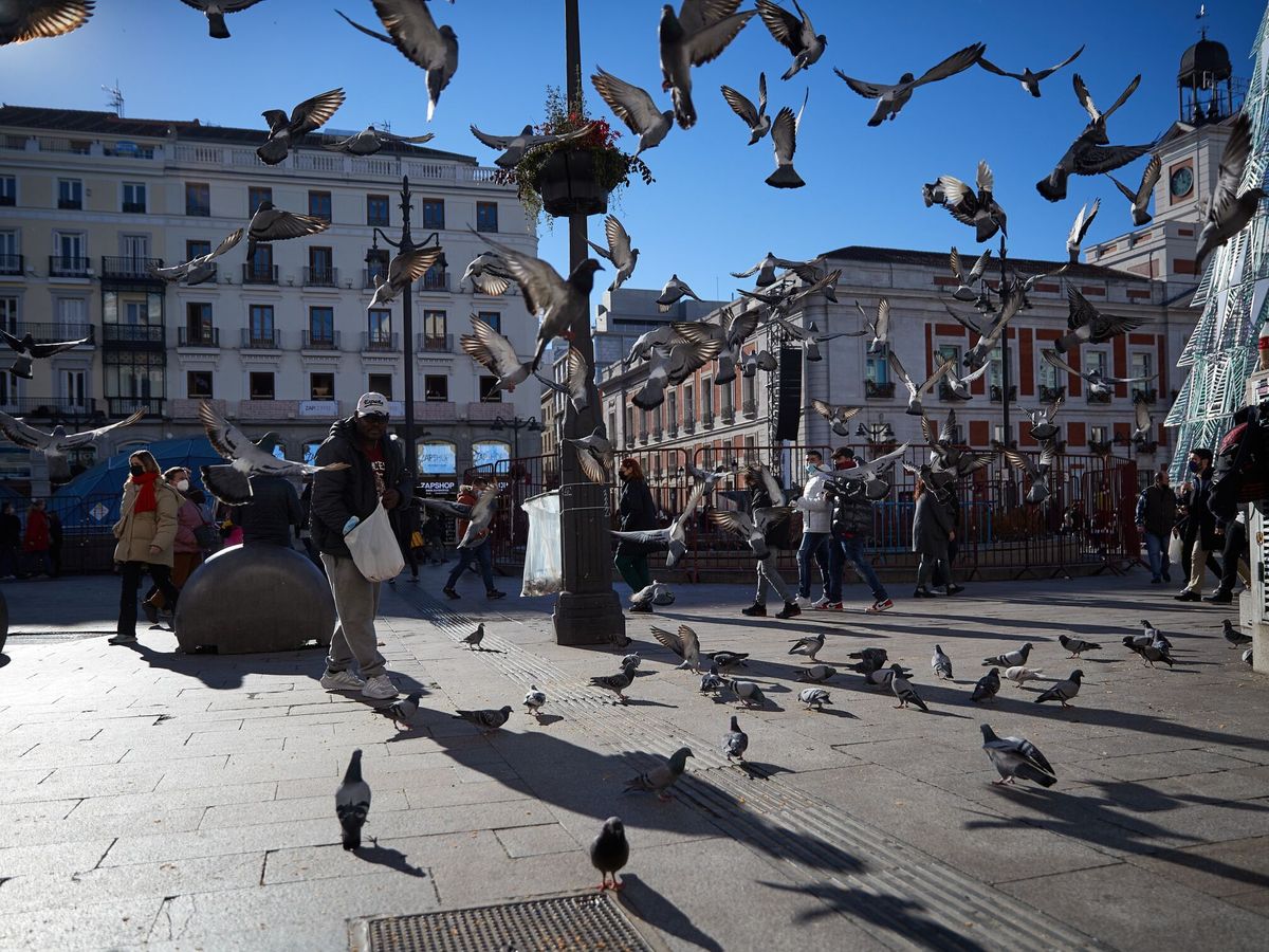 Foto: Una bandada de palomas levanta el vuelo al paso de la gente, este jueves en la Puerta del Sol. (EFE/Oses)