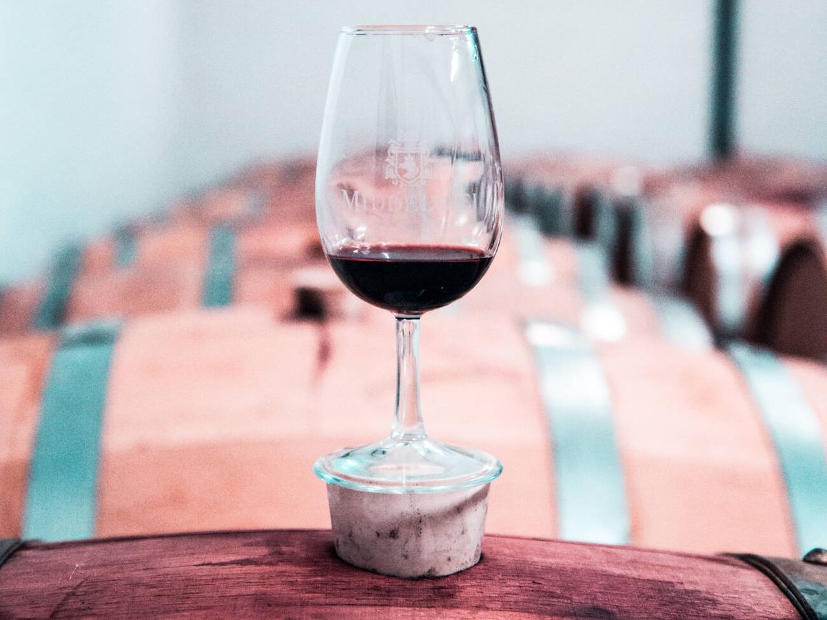 Foto: Foto de una copa de vino en una bodega. (Pexels/Arthur Brognoli)