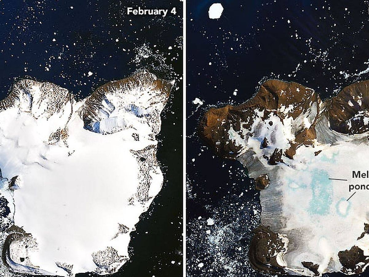 Foto: Los efectos de la ola de calor récord de febrero en Eagle Island en la Antártida. Foto: NASA