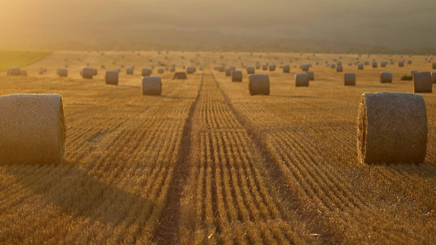 Una agricultura sostenible es una de las claves de la lucha contra la crisis climática. (Unsplash/@mihaly_koles)