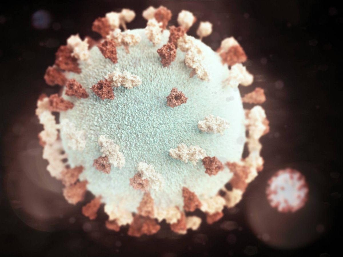 Foto: El coronavirus se llama desde ahora Covid-19. (Unsplash)