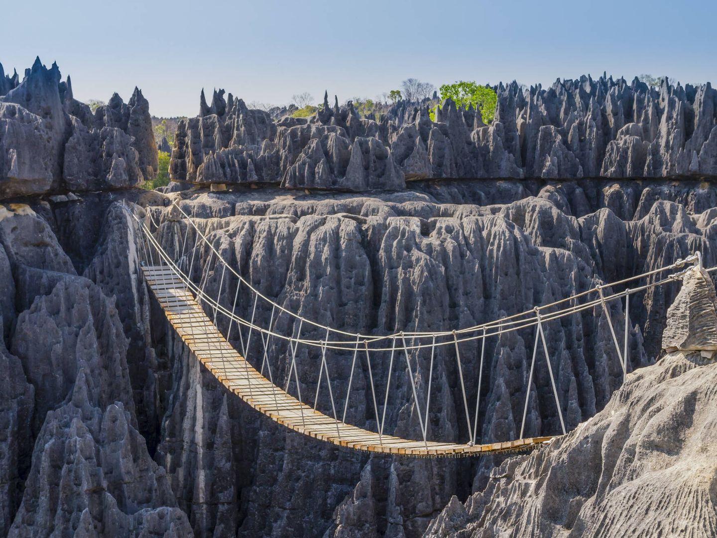 Puente colgante sobre el cañón del Parque Nacional Tsingy de Bemaraha, Madagascar (Fuente: iStock)
