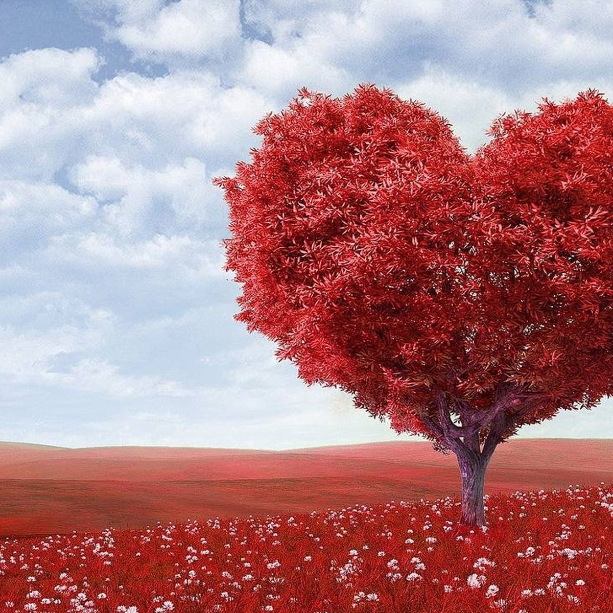 Que los regalos de ♥ San Valentín ♥ no te den problemas: 14 ideas para el 14  de febrero