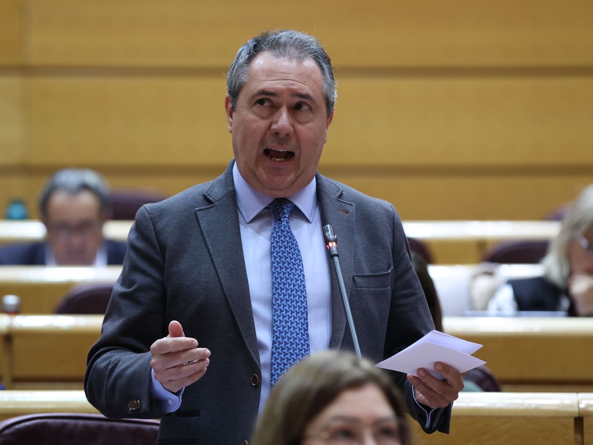 Foto: Juan Espadas, líder del PSOE andaluz, en el Senado. (EFE/Kiko Huesca)