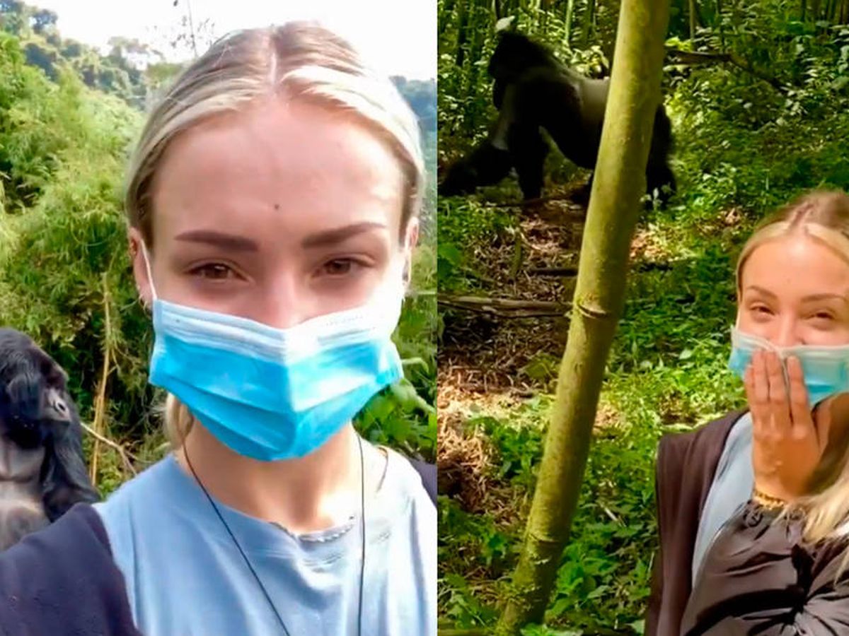 Foto: Charly Jordan, el primer día de su viaje a Ruanda, durante su visita a los gorilas (Foto: Instagram)