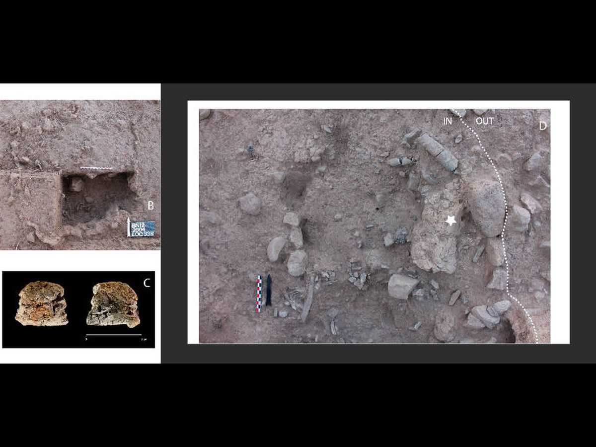 Foto: Los restos encontrados se fecharon entre los años 7.013 y 6.700 a.C. (Foto: Plos One)