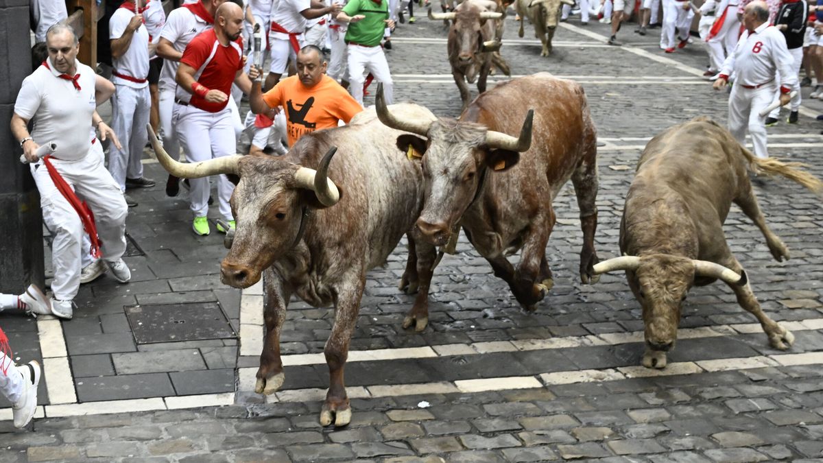 Los toros de Núñez del Cuvillo protagonizan un quinto encierro rápido y limpio