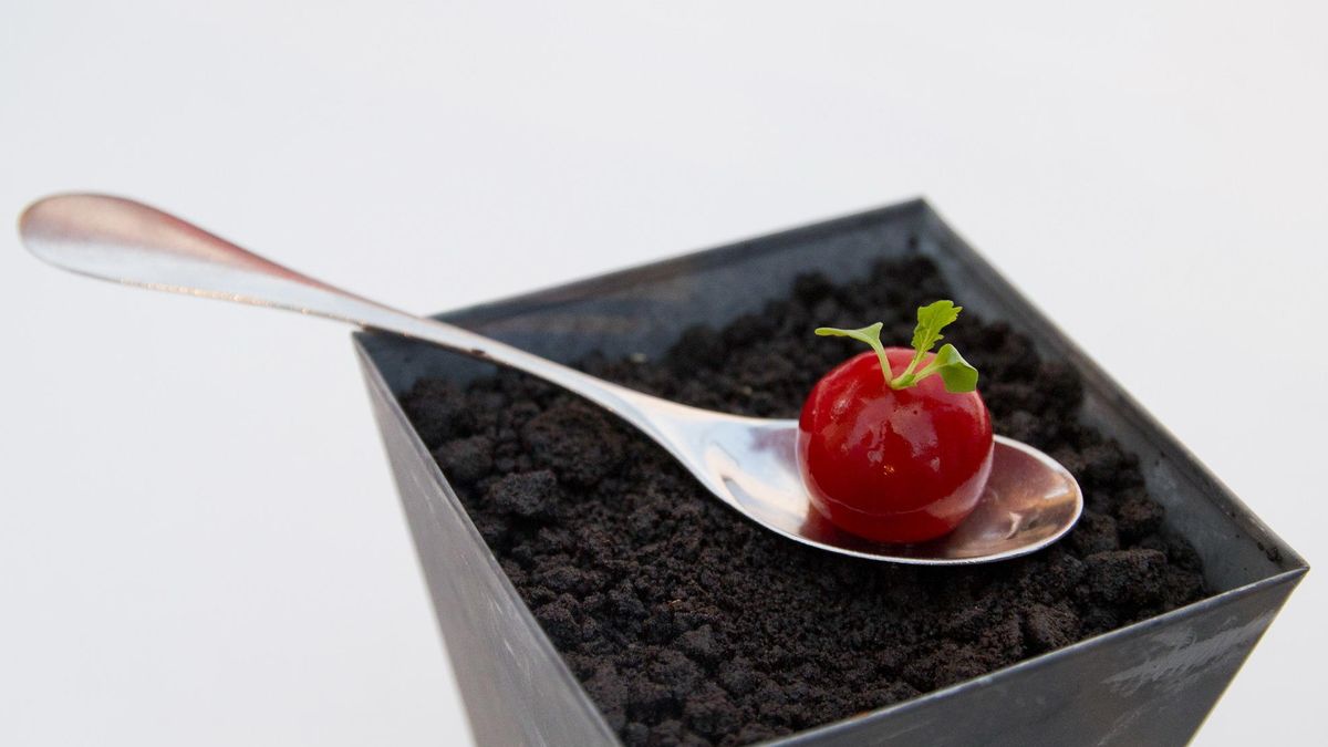  ¿Puede un tomate ser una tapa? Javier y Sergio Torres nos enseñan cómo conseguirlo