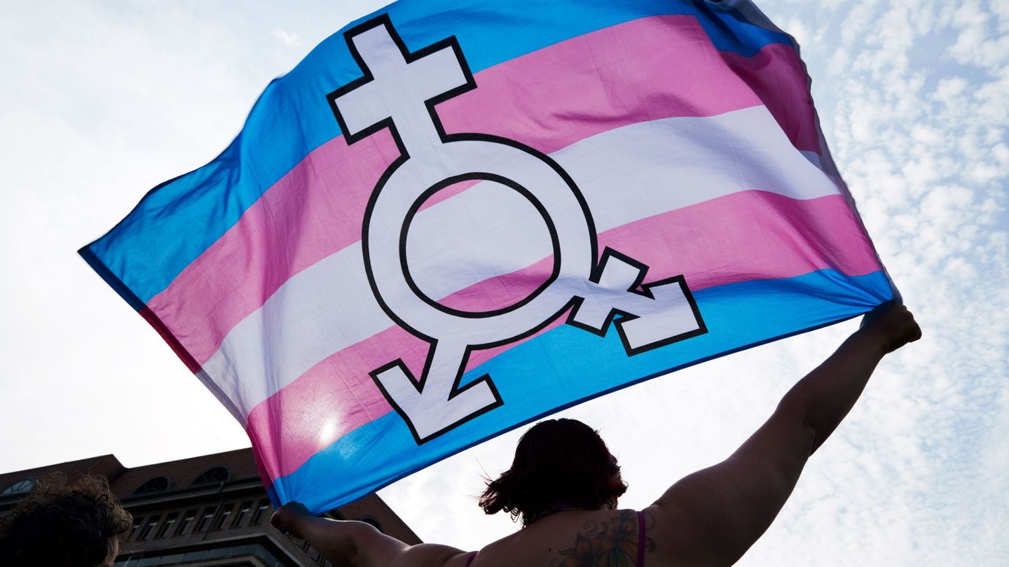 Una persona sujeta una bandera trans y género neutro durante una manifestación en Berlín. (EFE)