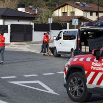 Foto: Un coche de la Policía en una imagen de archivo. (EFE/Jesús Diges)
