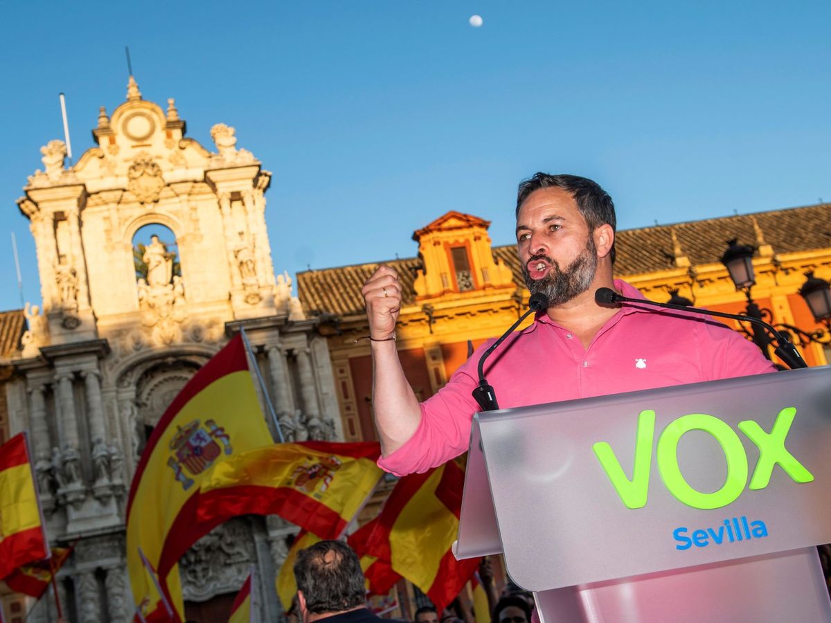 Foto: Santiago Abascal, al Vox di Siviglia.  (EFE/Raul Caro)