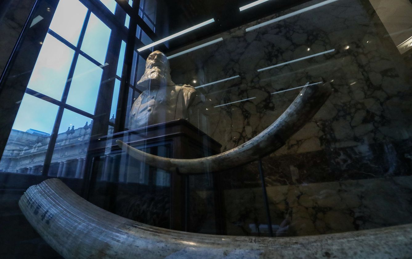 Una estatua del rey Leopoldo en el Museo de África de Tervuren, Bélgica. (Reuters)