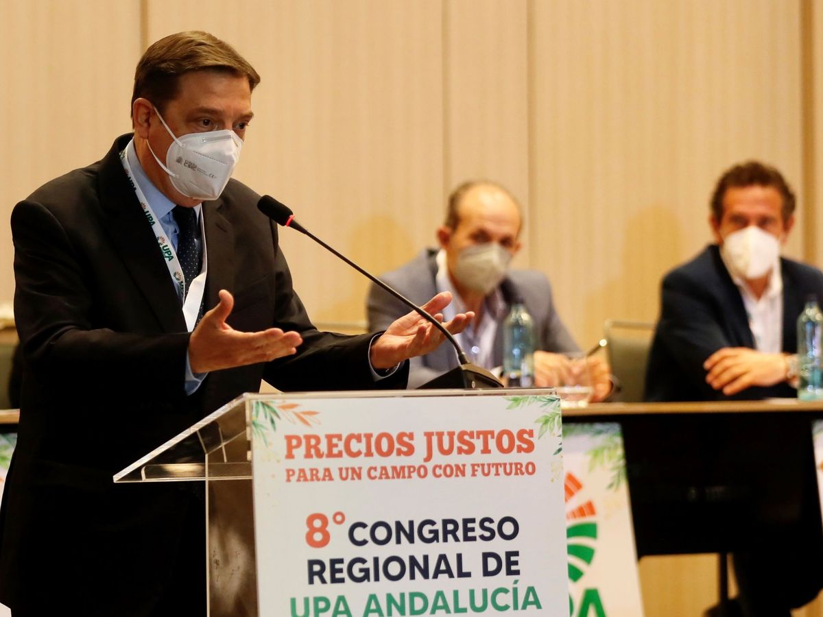 Foto: El ministro de Agricultura, Luis Planas. (EFE)