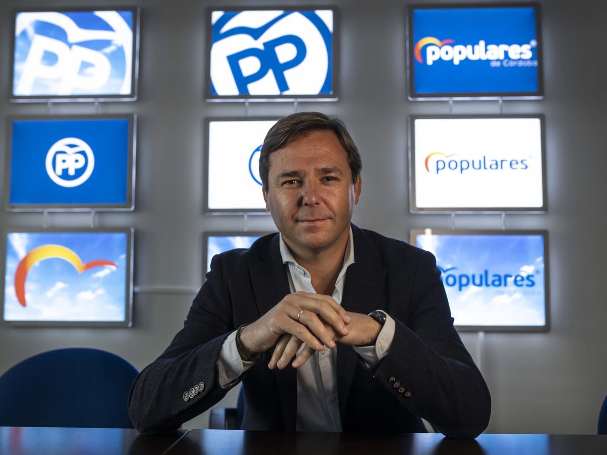 Foto: Antonio Repullo, secretario general del PP andaluz. (EFE/Rafa Alcaide)