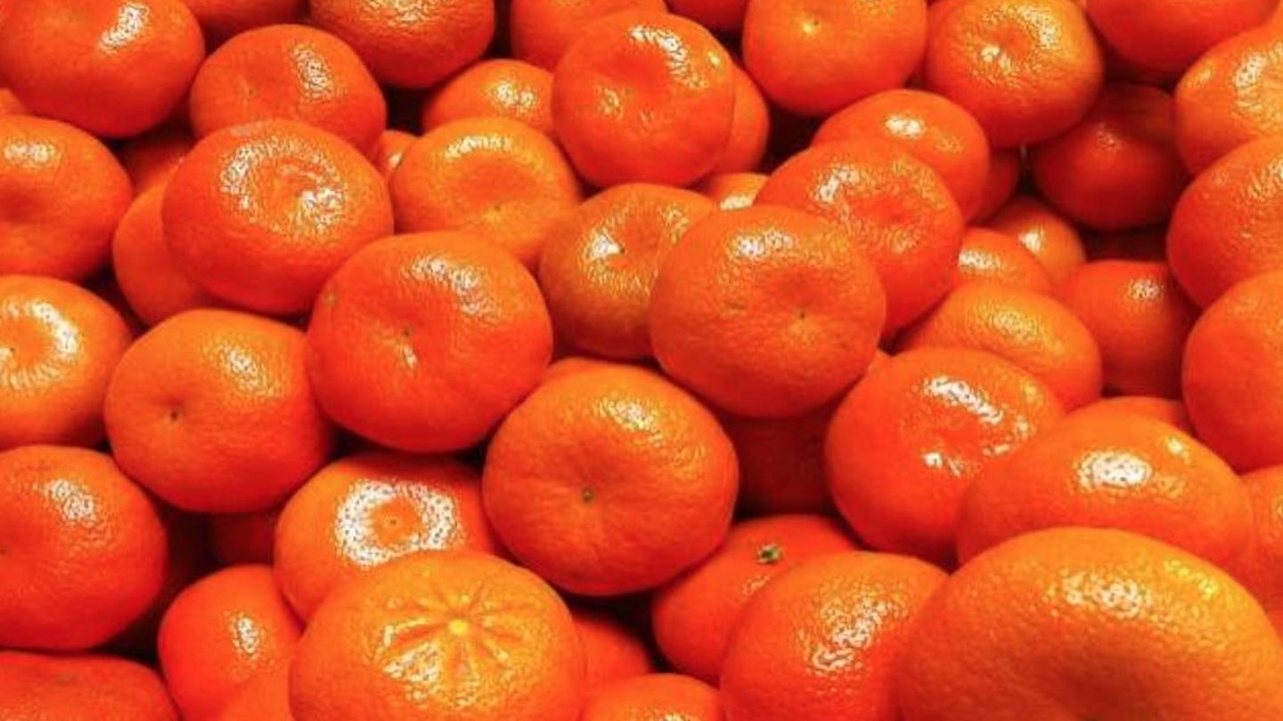 Mandarinas de la variedad patentada Nadorcott